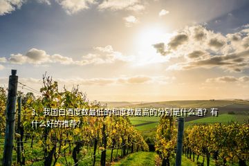 3、我國白酒度數最低的和度數最高的分別是什么酒？有什么好的推薦？