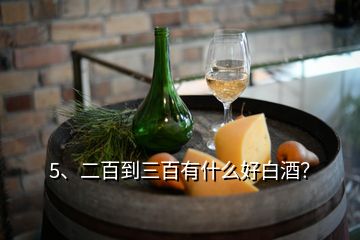 5、二百到三百有什么好白酒？
