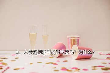 3、人參泡到酒里能夠成活嗎？為什么？