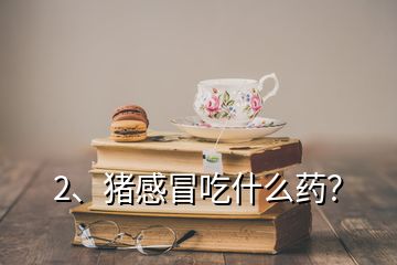 2、豬感冒吃什么藥？