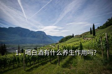 1、喝白酒有什么養(yǎng)生作用嗎？