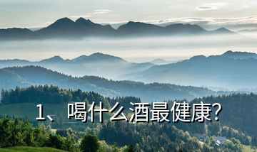 1、喝什么酒最健康？
