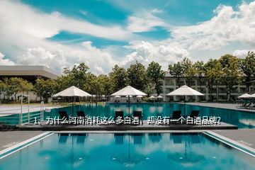 1、為什么河南消耗這么多白酒，卻沒有一個白酒品牌？