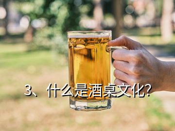 3、什么是酒桌文化？