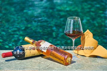 1、為什么要給母豬喝白酒呢？白酒對(duì)母豬有什么神奇的效果呢？