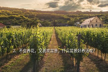 2、不會養(yǎng)花，又喜歡盆景，什么盆景好養(yǎng)活呢？