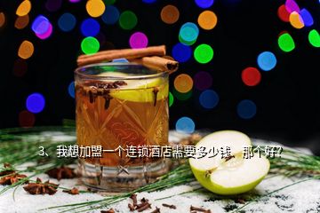 3、我想加盟一個連鎖酒店需要多少錢、那個好？