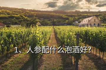 1、人參配什么泡酒好？