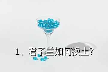 1、君子蘭如何換土？