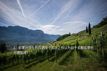 2、如果對現(xiàn)在的白酒排個名次，你認(rèn)為前十名都有哪些白酒品牌？