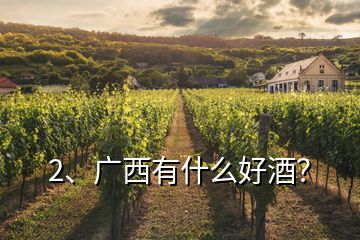 2、廣西有什么好酒？