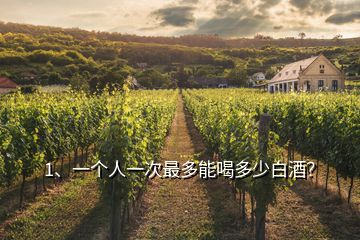1、一個人一次最多能喝多少白酒？