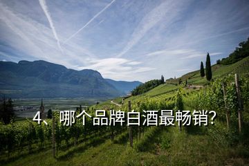 4、哪個(gè)品牌白酒最暢銷？