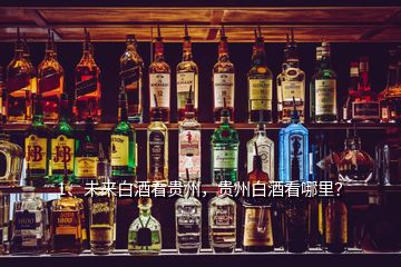 1、未來白酒看貴州，貴州白酒看哪里？