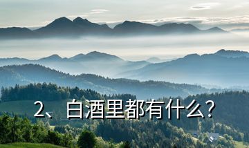 2、白酒里都有什么？