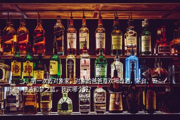 3、第一次去對象家，對象的爸爸喜歡喝白酒，茅臺、五糧液和夢之藍(lán)，我買哪個好？