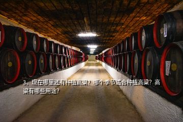 3、現(xiàn)在哪里還有種植高粱？哪個(gè)季節(jié)適合種植高粱？高粱有哪些用途？