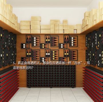 5、真正會喝酒的人，都會在白酒旁放一杯“白水”，知道是啥原因嗎？