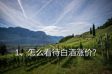 1、怎么看待白酒漲價(jià)？