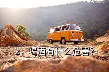 2、喝酒有什么危害？