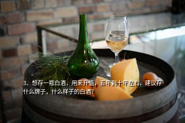 3、想存一瓶白酒，用來升值，五年到十年左右，建議存什么牌子，什么樣子的白酒？