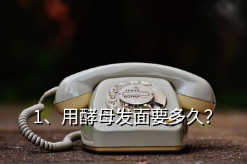 1、用酵母發(fā)面要多久？