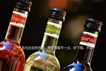 3、一百元左右的白酒，哪些喝著平一點、好下咽、不燒心？