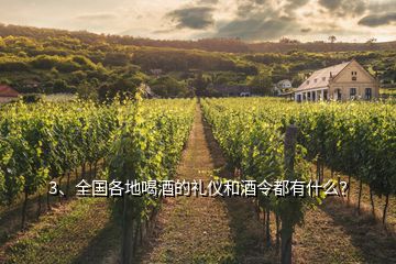 3、全國(guó)各地喝酒的禮儀和酒令都有什么？