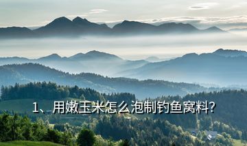 1、用嫩玉米怎么泡制釣魚(yú)窩料？