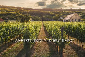 1、大家平時(shí)喝的口糧酒是什么，覺得如何？什么價(jià)位？