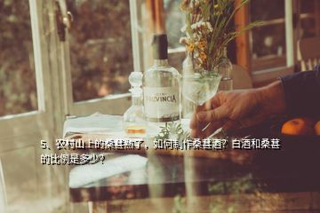 5、農村山上的桑葚熟了，如何制作桑葚酒？白酒和桑葚的比例是多少？