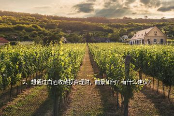 2、想通過白酒收藏投資理財(cái)，前景如何？有什么建議？