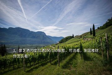 3、景芝酒70度白酒190/160每瓶，可消毒，發(fā)國難財(cái)你怎么看？