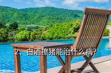 2、白酒擦豬能治什么??？