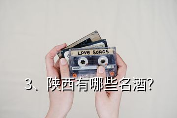 3、陜西有哪些名酒？
