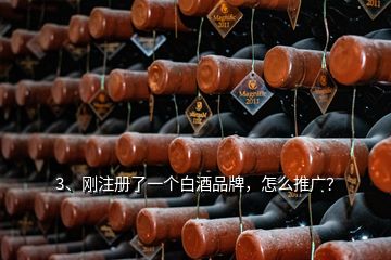3、剛注冊了一個白酒品牌，怎么推廣？
