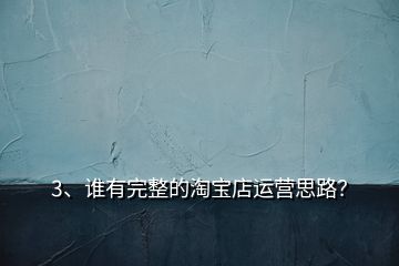 3、誰有完整的淘寶店運(yùn)營思路？