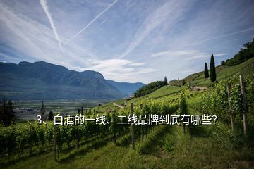 3、白酒的一線、二線品牌到底有哪些？