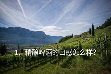 1、精釀啤酒的口感怎么樣？