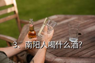 3、南陽人喝什么酒？