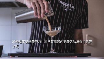 20種基本氨基酸中為什么從甘氨酸丙氨酸之后沒(méi)有丁氨酸了呢