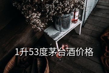 1升53度茅臺(tái)酒價(jià)格