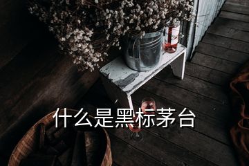 什么是黑標(biāo)茅臺