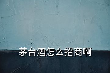 茅臺(tái)酒怎么招商啊