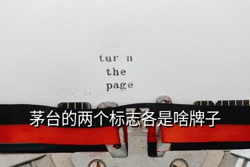 茅臺的兩個標(biāo)志各是啥牌子