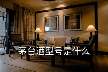茅臺(tái)酒型號(hào)是什么