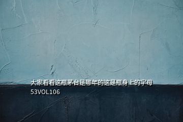 大家看看這瓶茅臺(tái)是哪年的這是瓶身上的字母 53VOL106