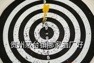 貴州茅臺鎮(zhèn)哪家酒廠好