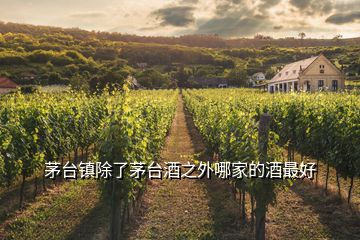 茅臺(tái)鎮(zhèn)除了茅臺(tái)酒之外哪家的酒最好