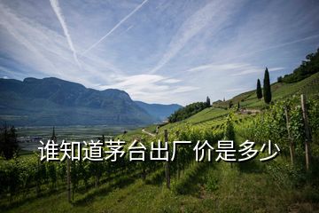 誰知道茅臺(tái)出廠價(jià)是多少